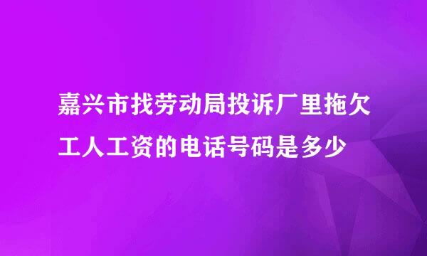 嘉兴市找劳动局投诉厂里拖欠工人工资的电话号码是多少