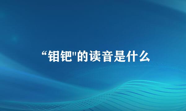 “钼钯
