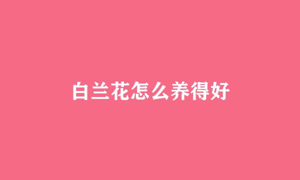 白兰花怎么养得好