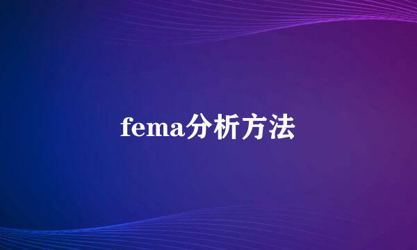 fema分析方法