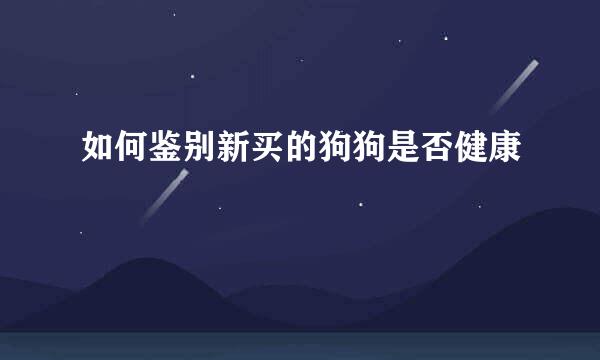 如何鉴别新买的狗狗是否健康
