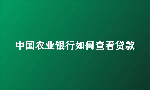 中国农业银行如何查看贷款