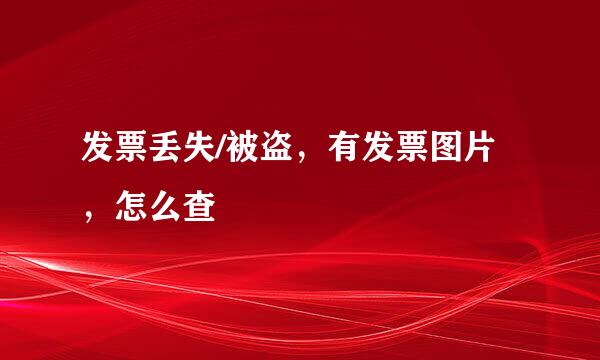 发票丢失/被盗，有发票图片，怎么查