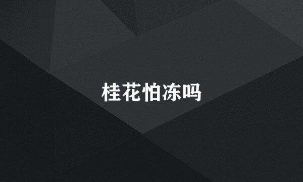 桂花怕冻吗