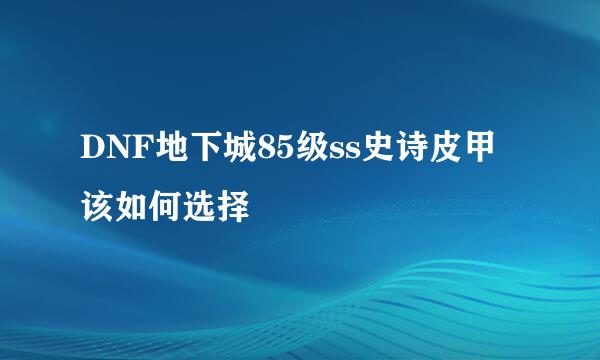 DNF地下城85级ss史诗皮甲该如何选择
