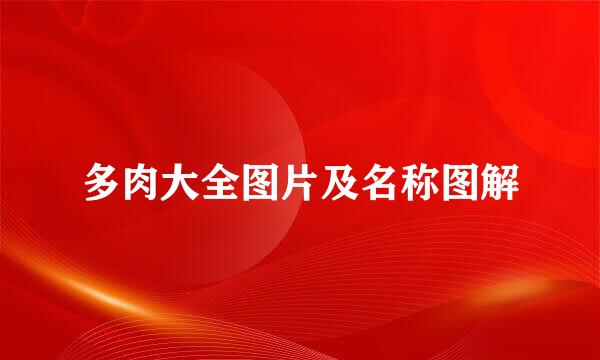 多肉大全图片及名称图解