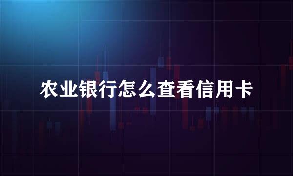 农业银行怎么查看信用卡