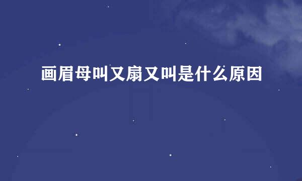 画眉母叫又扇又叫是什么原因
