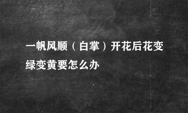 一帆风顺（白掌）开花后花变绿变黄要怎么办
