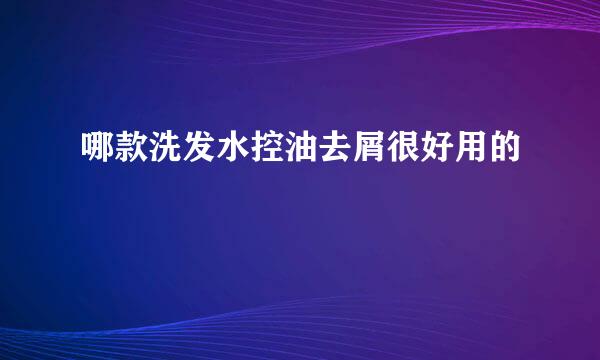 哪款洗发水控油去屑很好用的