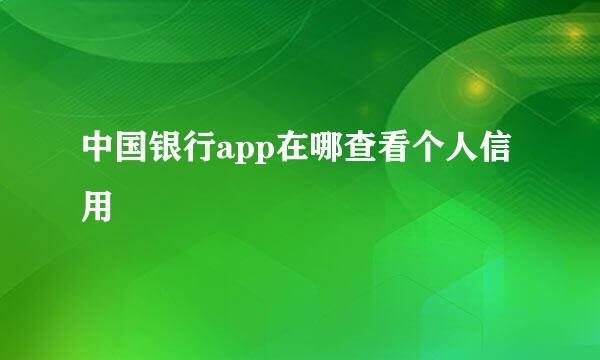 中国银行app在哪查看个人信用