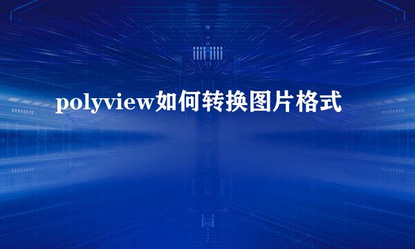 polyview如何转换图片格式