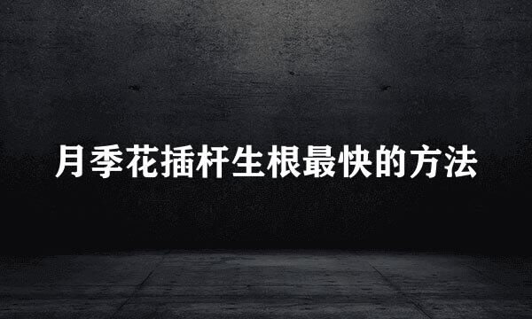 月季花插杆生根最快的方法