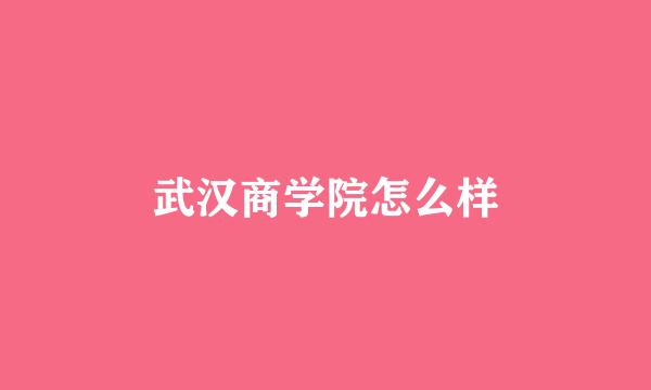 武汉商学院怎么样