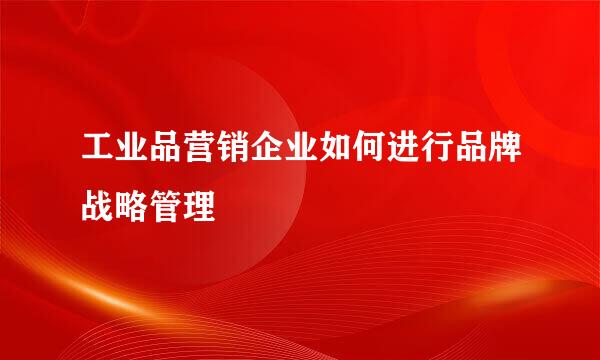 工业品营销企业如何进行品牌战略管理