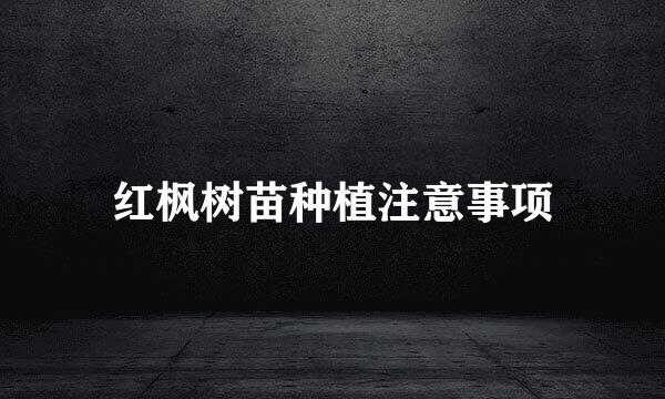 红枫树苗种植注意事项