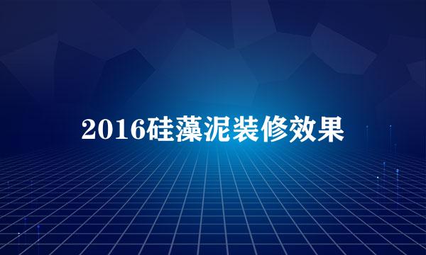 2016硅藻泥装修效果