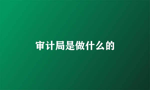 审计局是做什么的