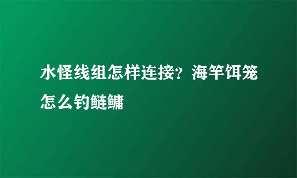 水怪线组怎样连接？海竿饵笼怎么钓鲢鳙