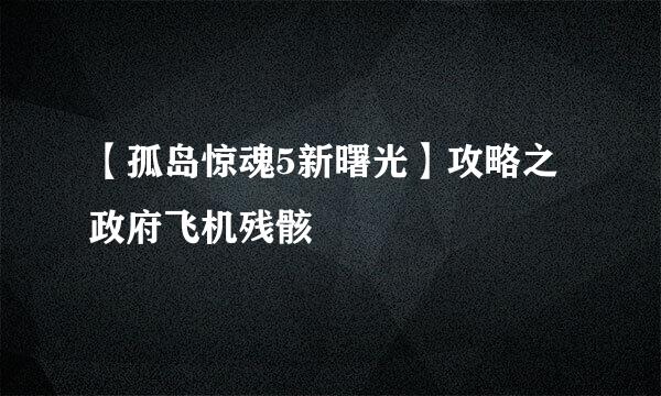 【孤岛惊魂5新曙光】攻略之政府飞机残骸