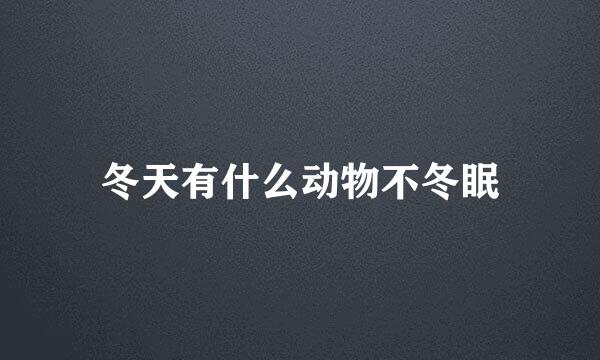冬天有什么动物不冬眠