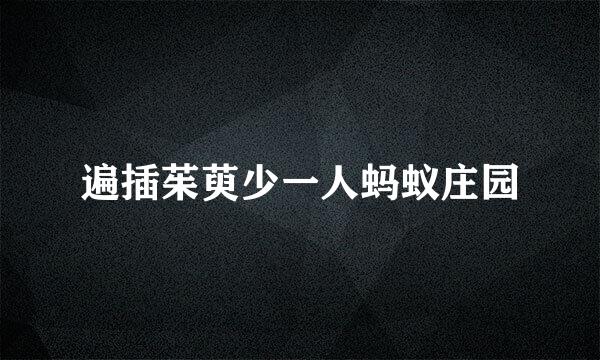 遍插茱萸少一人蚂蚁庄园