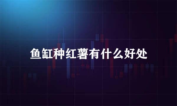 鱼缸种红薯有什么好处