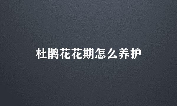 杜鹃花花期怎么养护