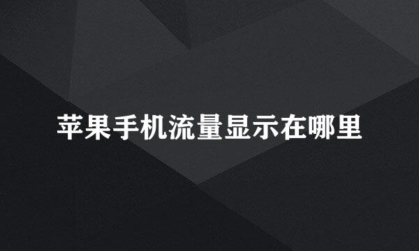 苹果手机流量显示在哪里