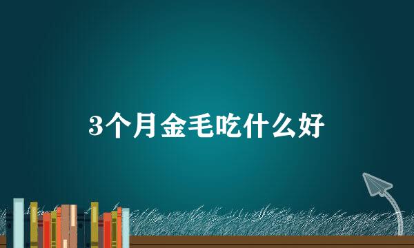 3个月金毛吃什么好