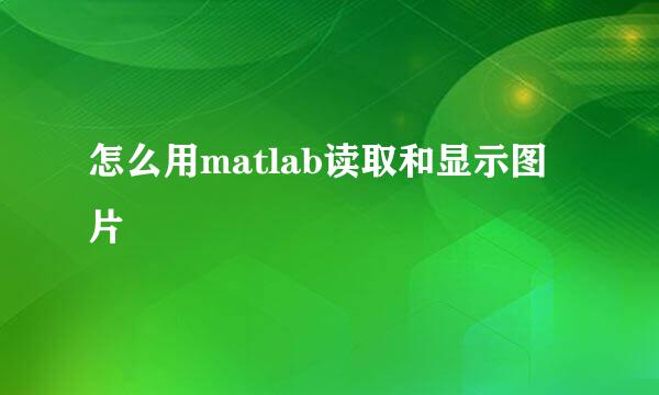 怎么用matlab读取和显示图片