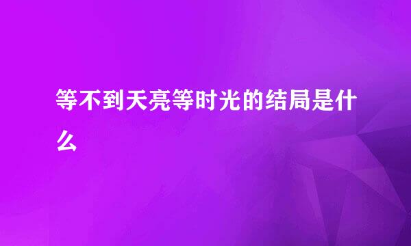 等不到天亮等时光的结局是什么