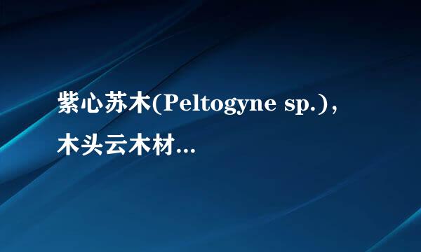 紫心苏木(Peltogyne sp.)，木头云木材百科知识