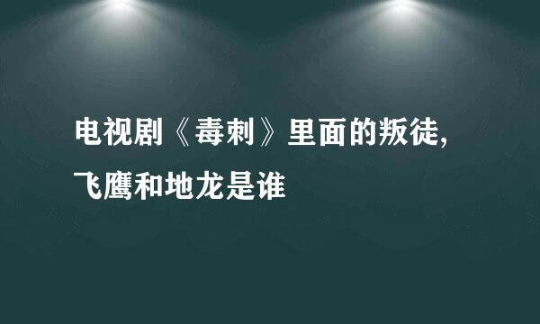 电视剧《毒刺》里面的叛徒,飞鹰和地龙是谁