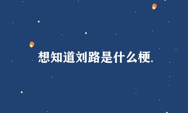 想知道刘路是什么梗