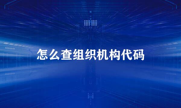 怎么查组织机构代码