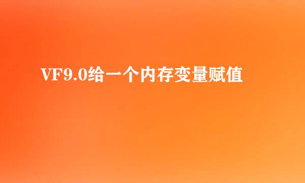 VF9.0给一个内存变量赋值