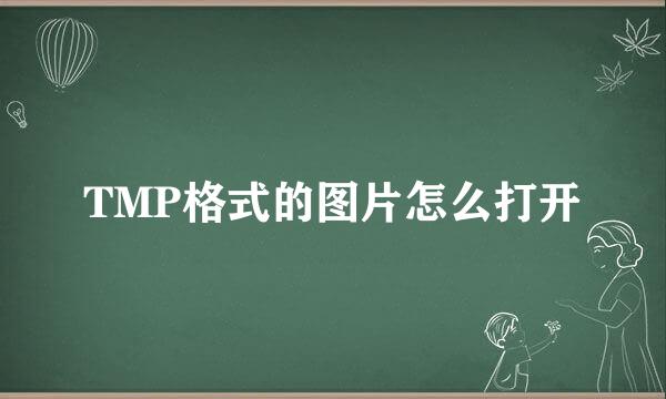 TMP格式的图片怎么打开