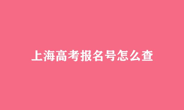 上海高考报名号怎么查