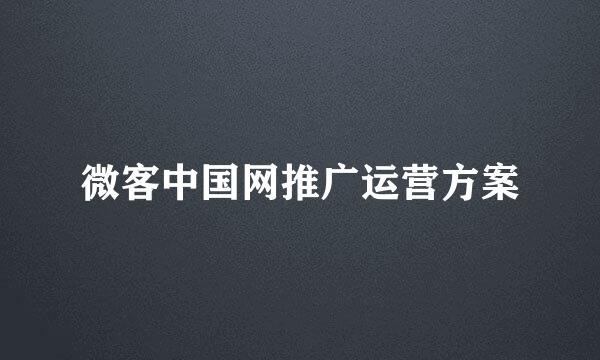 微客中国网推广运营方案