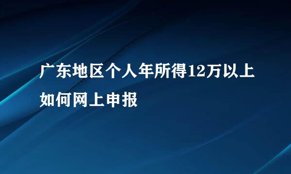 广东地区个人年所得12万以上如何网上申报