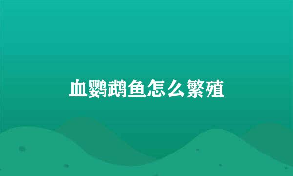 血鹦鹉鱼怎么繁殖