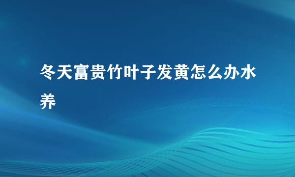 冬天富贵竹叶子发黄怎么办水养