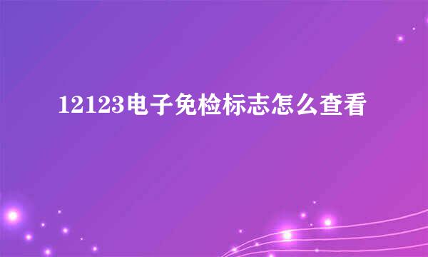 12123电子免检标志怎么查看