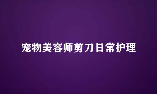 宠物美容师剪刀日常护理