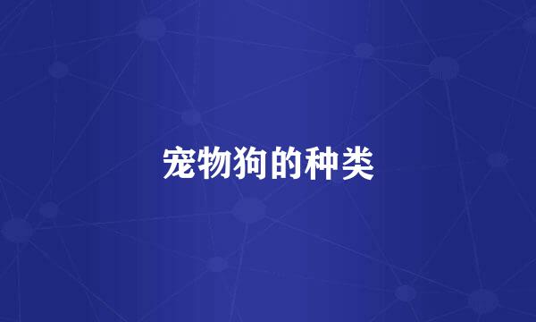 宠物狗的种类