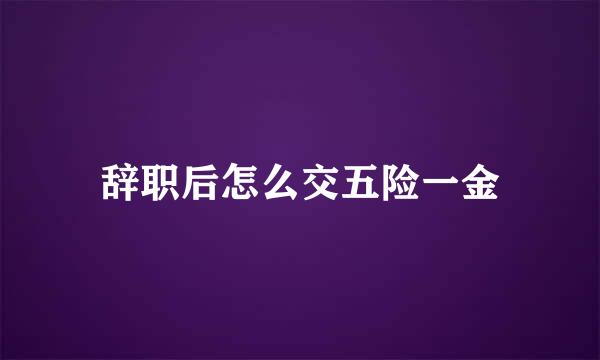 辞职后怎么交五险一金