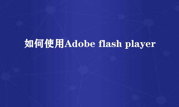 如何使用Adobe flash player