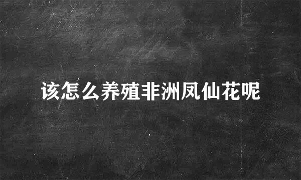 该怎么养殖非洲凤仙花呢