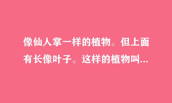 像仙人掌一样的植物。但上面有长像叶子。这样的植物叫什么名字啊。有配图